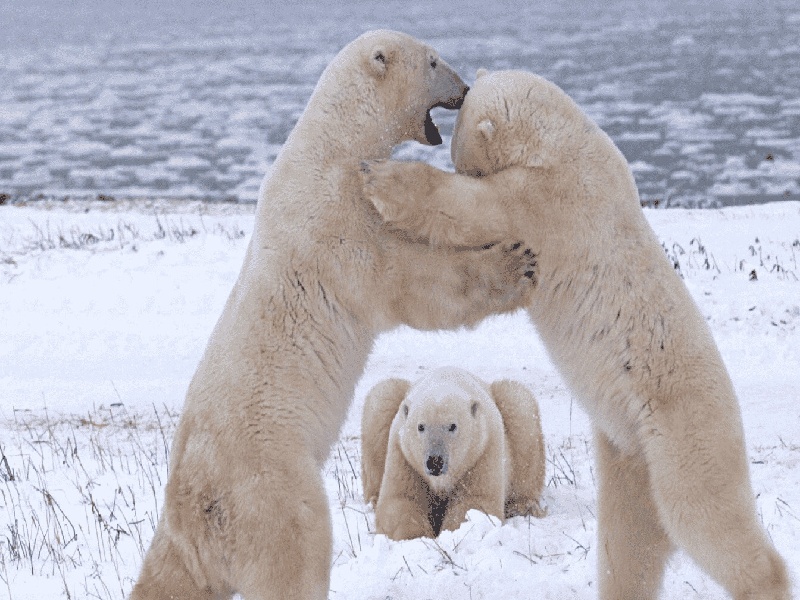 南宁三代供卵例子,山东临沂做试管婴儿成功率最高的医院是哪里？如何选-南宁